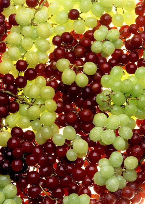 sehat  buah anggur  bisa nongkrong    edan
