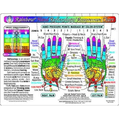 Acupressure Reflexology Chart With Precise Hand Professional