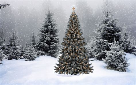 Christmas Tree Desktop Backgrounds 64 Pictures
