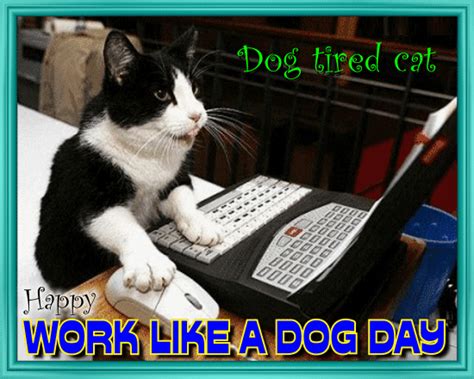 Cat Working Like A Dog Free Work Like A Dog Day Ecards Greeting Cards