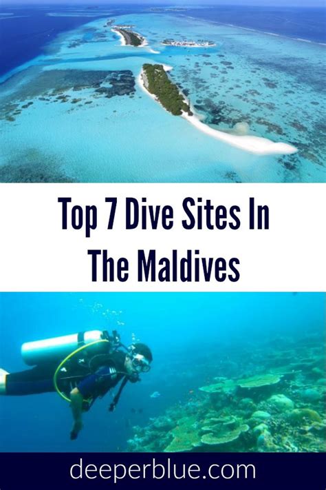 The Top 7 Dive Sites In The Maldives