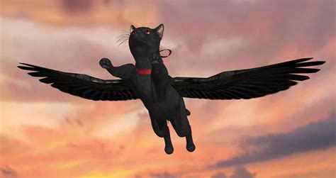 The Flying Cat By Christalyus On Deviantart The Evil Within Evil