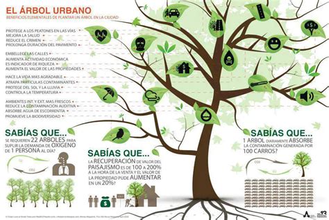 6 Razones Para Plantar árboles En La Ciudad Jardinería Dalmau