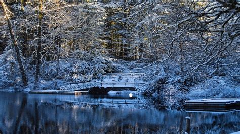 Nature Landscapes Trees Forest Lakes Water Reflection Winter