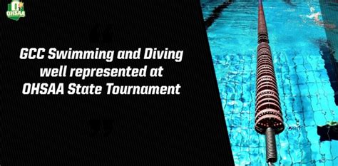 Gcc Swimming And Diving Well Represented At Ohsaa State Tournament