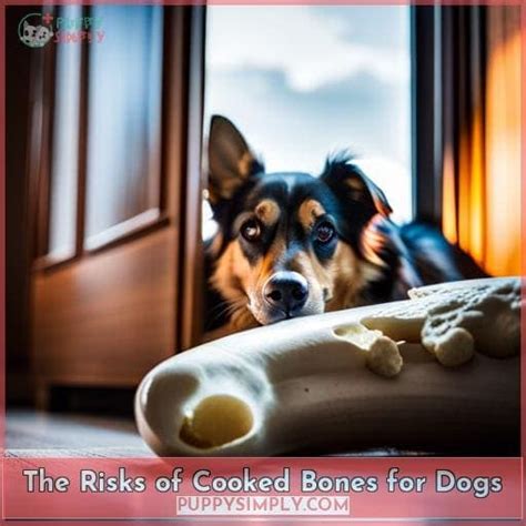Can Dogs Eat Cooked Beef Rib Bones Heres What You Need To Know
