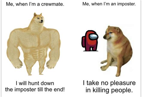 The Best Doggo Memes Memedroid