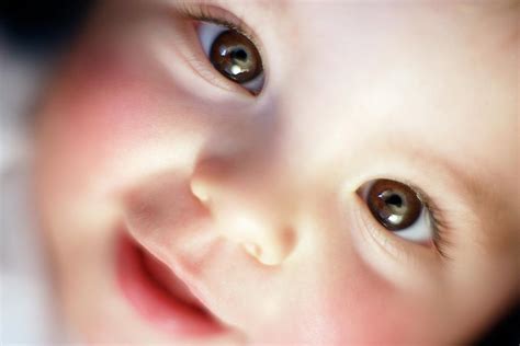Baby Boy Photograph By Ian Hootonscience Photo Library