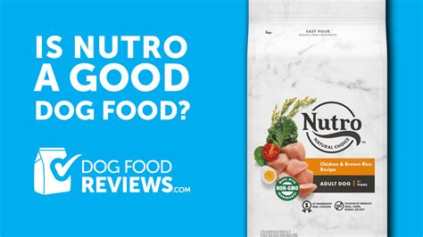 Nutro Dog Food Dog Food Reviews