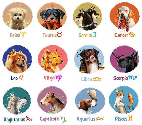 Pin By Niyahlei On Zodiac Dog Zodiac Zodiac Signs Animals Zodiac