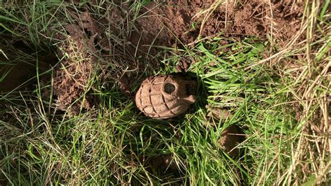 Police Remove Hand Grenade Found By Detectorists Brecon Uk