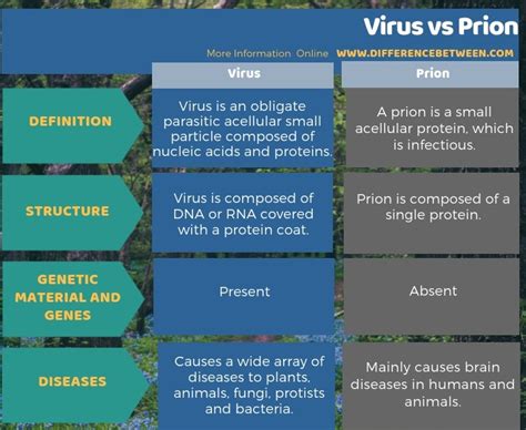 Difference Between Virus And Prion Compare The Difference Between