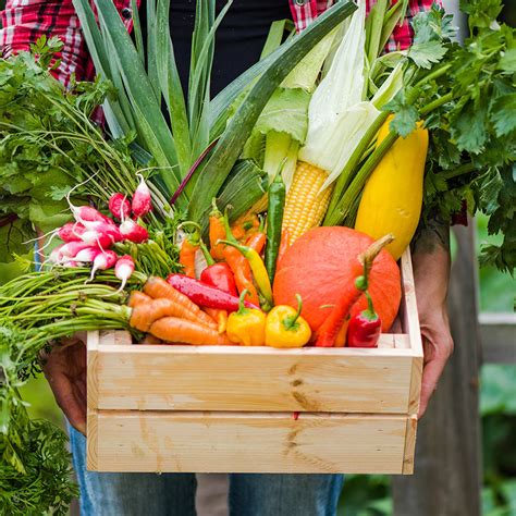 How To Grow Harvest And Enjoy Your Vegetable Garden The Home Depot