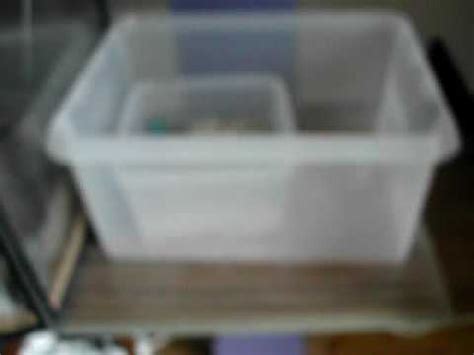 Making your own reptile egg incubator can be a great way to avoid the high costs of bought incubators and still achieve a good hatch rate, if you know what you're doing that is. homemade reptile incubator - YouTube