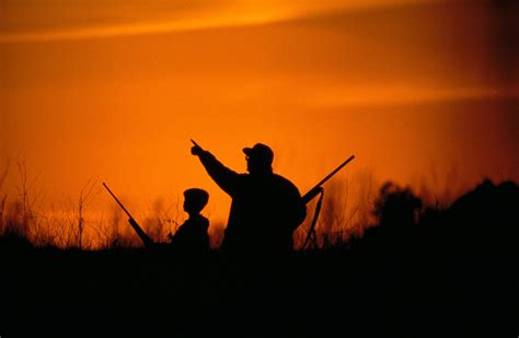 Wisconsin Natural Resources Board Approves 2021 Migratory Bird Hunting