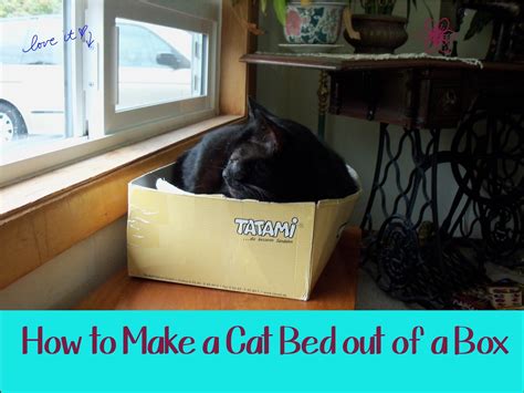 Homeschool Smarts How To Make A Cat Bed Out Of A Box