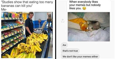 40 Funny And Sad Memes Youll Laugh At If Youre Depressed