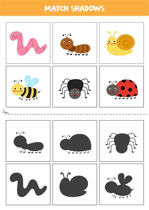 Find Shadows Of Cute Insects Cards For Kids 2251158 Vector Art At