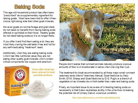 Baking Soda And Its Use With Goats Goats Dairy Goats Goat Care