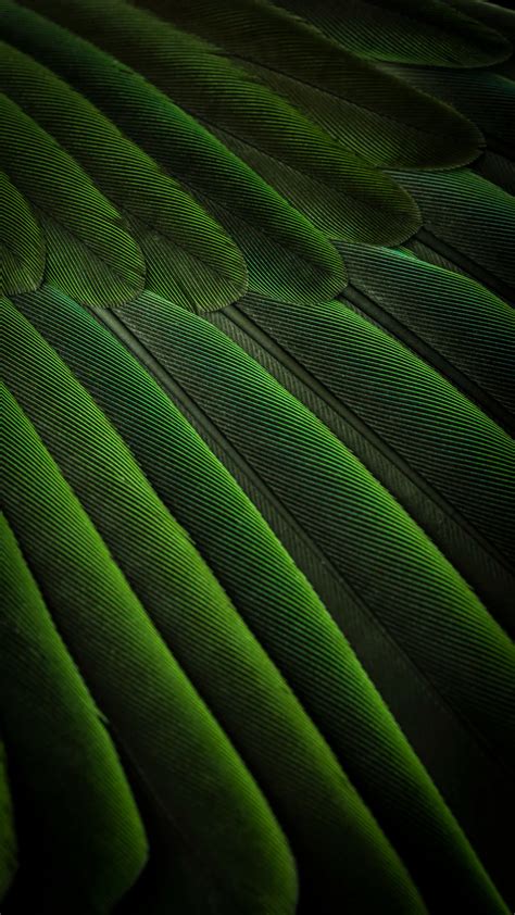Texture And Pattern Images Unsplash Green Texture Free Texture