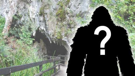 Camper Alleged Bigfoot Sighting Prompts Gunfire At Mammoth Cave