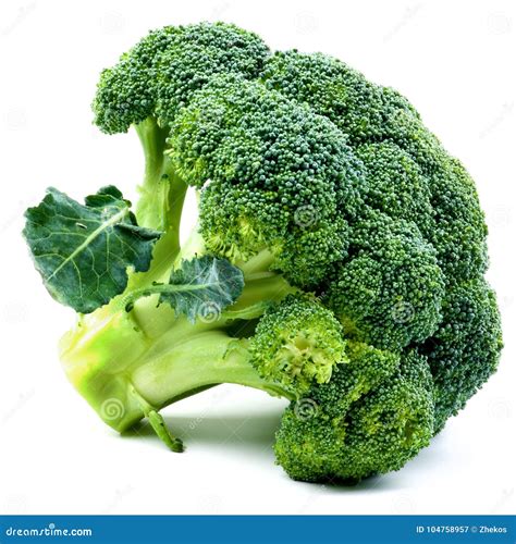 One Raw Broccoli Stock Image Image Of Dietary Meal 104758957