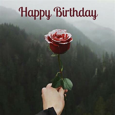 Happy Birthday Pictures, Photos, and Images for Facebook, Tumblr