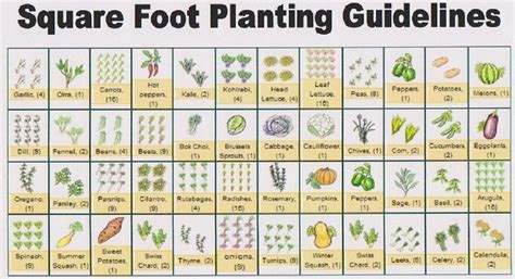 Printable free vegetable garden planner template. Square Foot Gardening - Planning (With images) | Garden ...