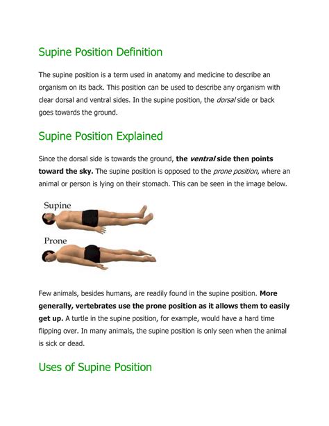 Supine Position Definition This Position Can Be Used To Describe Any Organism With Clear