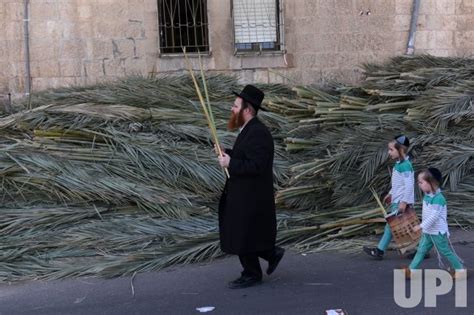 Photo Ultra Orthodox Jews Prepare For Sukkot In Jerusalem