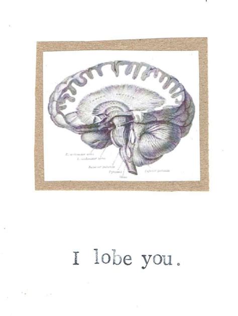 14 Fun Science Themed Valentines Science Valentines Funny Valentine