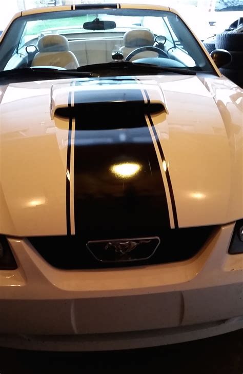 Mustang Racing Stripe Install Betacuts Custom Vinyl Design And Sign