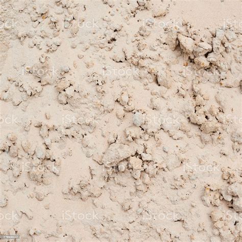 Dry Sand Soil Fragment Stock Photo Download Image Now Abstract