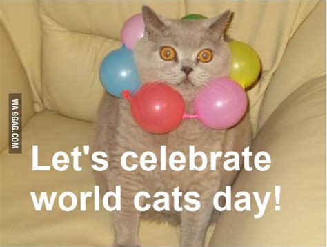 Lets Celebrate World Cat Day