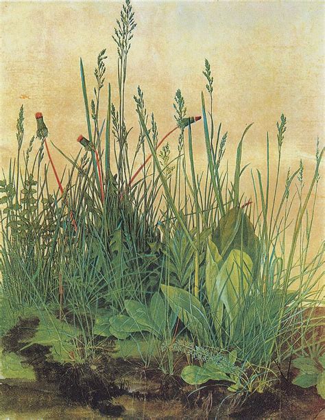 The Large Piece Of Turf By Albrecht Durer Grass Painting Albrecht