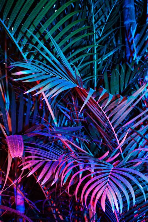 Tropical Neon Jungle Background Neon Jungle And Transparent Png