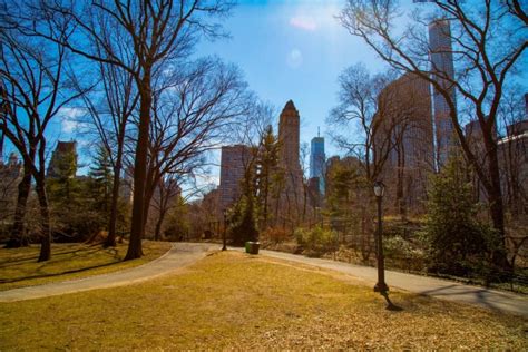 Central Park Nyc Free Stock Photo Public Domain Pictures
