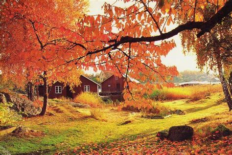 Sweden Swedish Autumn View Sweden Jasmine8559 Flickr