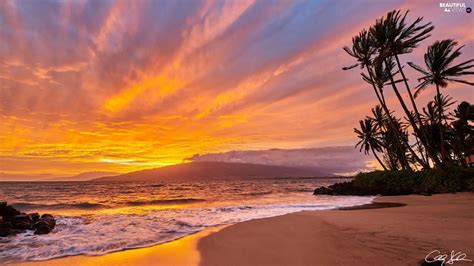 Sea Aloha State Hawaje Great Sunsets Beaches Palms Maui Island