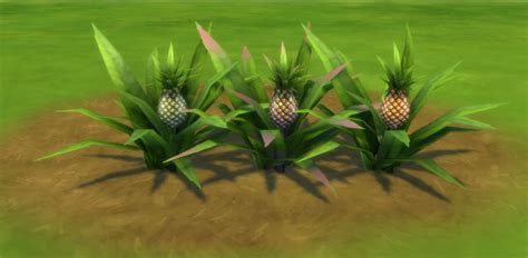 Aloha Pineapples By Snowhaze At Mod The Sims Sims 4 Updates