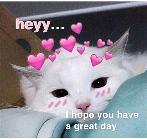 Cute Wholesome Memes Cats Heart Memes Love Memes Cute Cat Memes