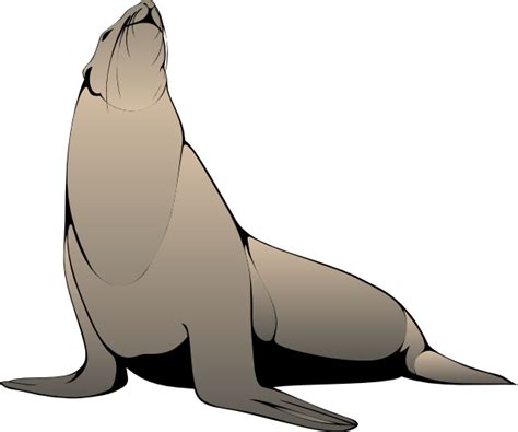 What Is Sea Lion Cartoon Clipart Best