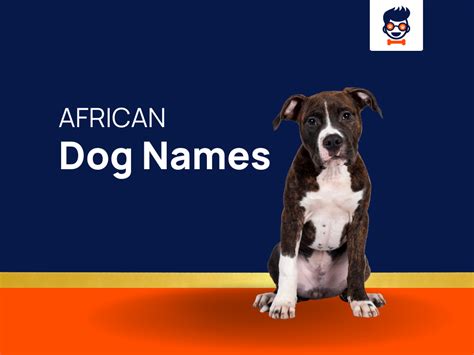 1250 African Dog Names That Reflect Culture And Tradition