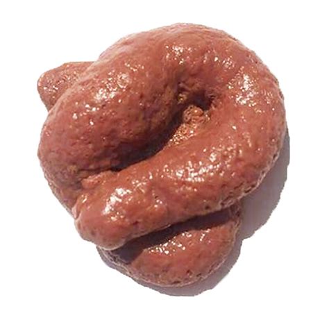 1 Pc Funny Realistic Sticky Mischief Turd Gag Shits Poop Fake Feces