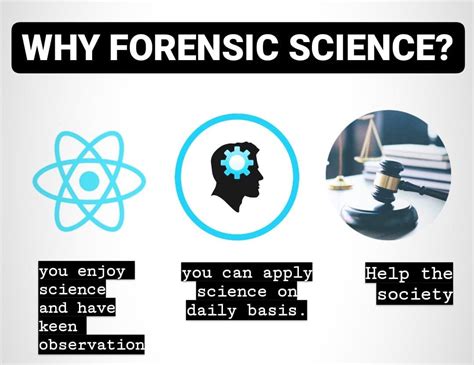 Everything You Need To Know About Forensic Science Forensics Digest