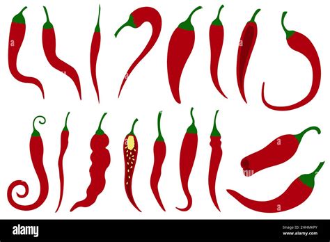 Group Of Different Red Chili Peppers Isolated On White Stock Vector