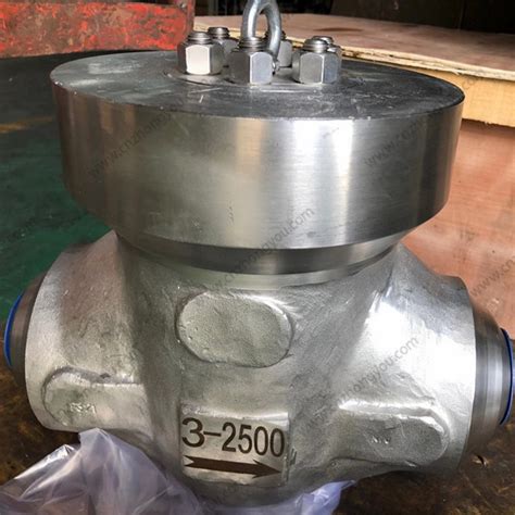 Forged Swing Check Valve 2 800lb Astm A105n Body F316 Trim Sw