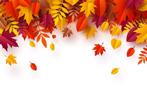 Autumn Leaves Vector Art Icons And Graphics For Free Download