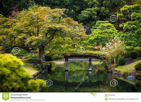 Wooden Bridge Over The Pond Autumn Maple Trees Stock Image Image Of