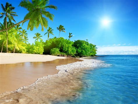Hawaiian Beach Trees Palm Coast Ocean Waves Sandy Beach Tropical Sun